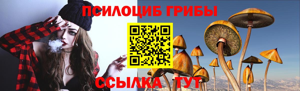 Гурьевск  Галлюциногенные грибы Psilocybine cubensis  сколько стоит  Псилоцибиновые грибы Magic Shrooms  Вход с VPN 