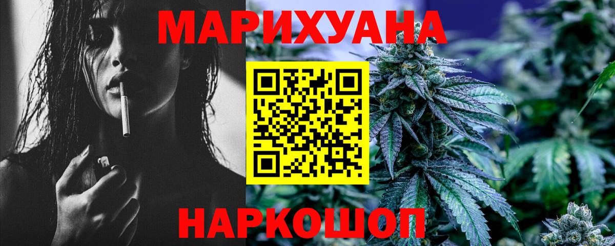 Конопля планчик Гурьевск